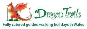 Dragon Trails banner