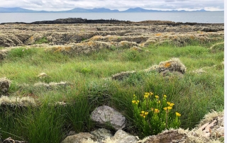 Coastal rocks on the Lleyn peninsula