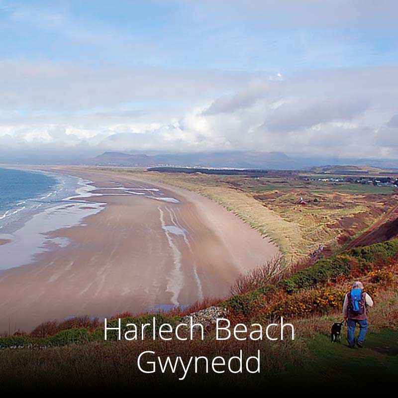 Harlech Beach stretches for miles and is backed by vast dunes and pine woods