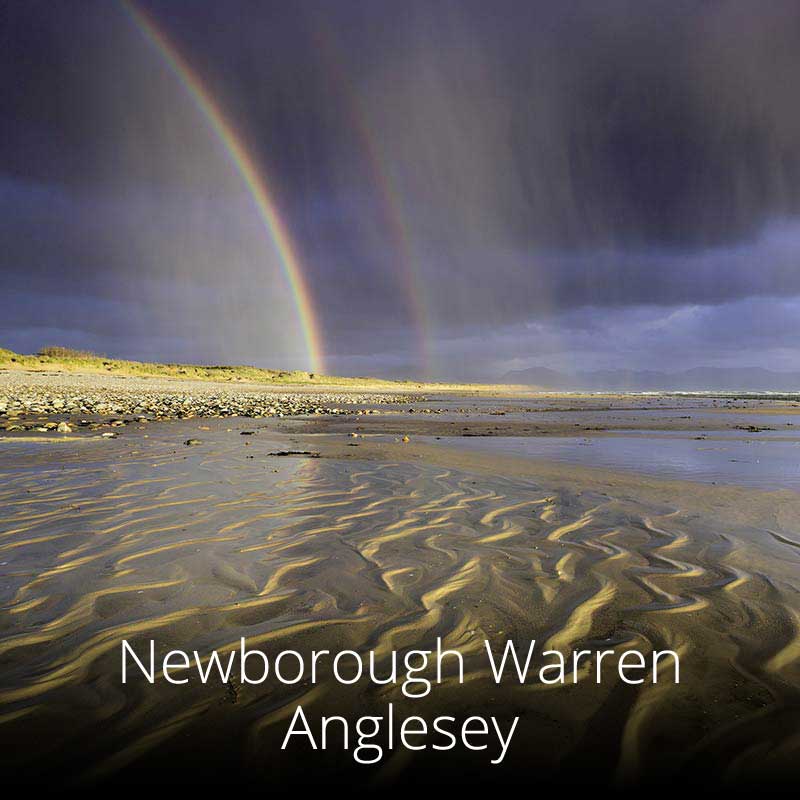 Newborough Warren, on Anglesey, is arguably one of the most beautiful places in Wales