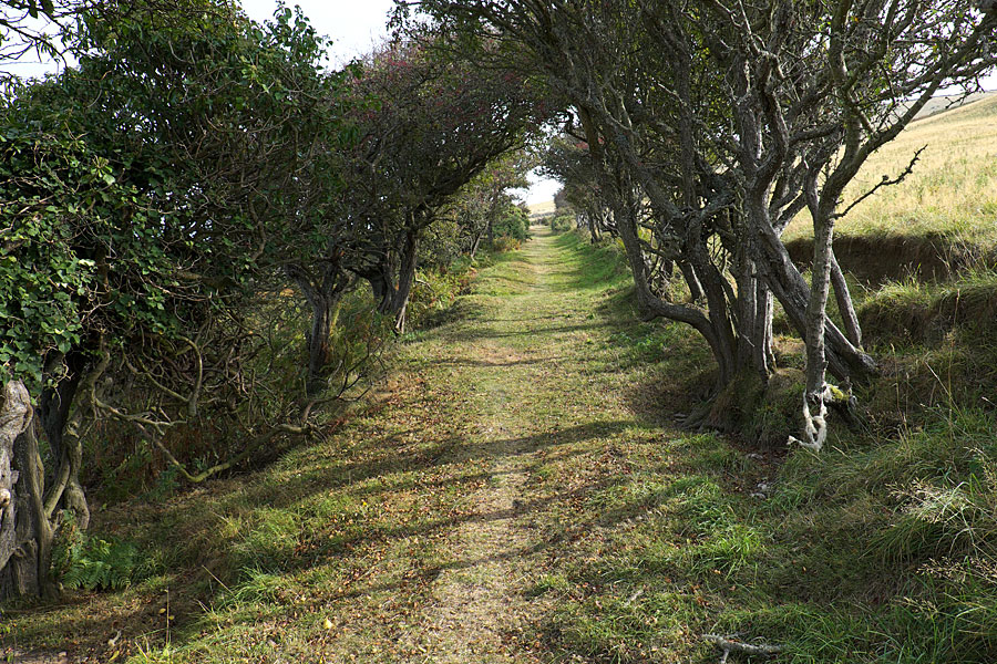 Ceredigion section of the Wales Coast Path Ceredigion section of the Wales Coast Path