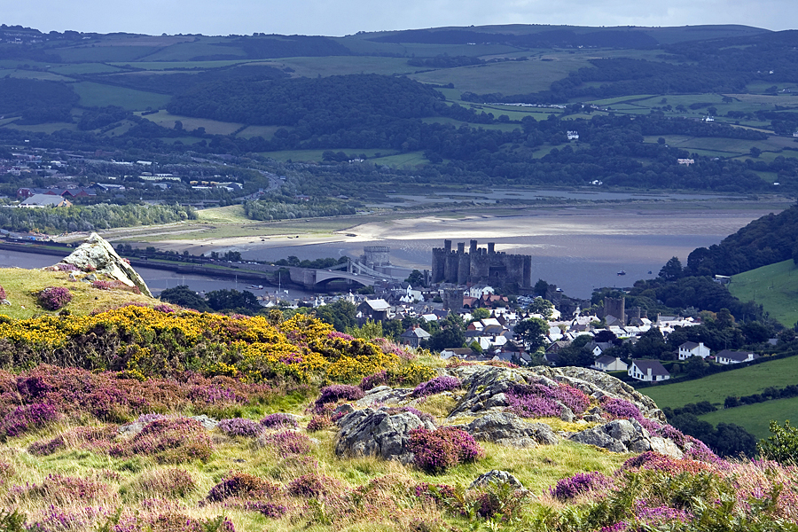 Conwy Castle from Conwy Mountain Conwy Castle from Conwy Mountain