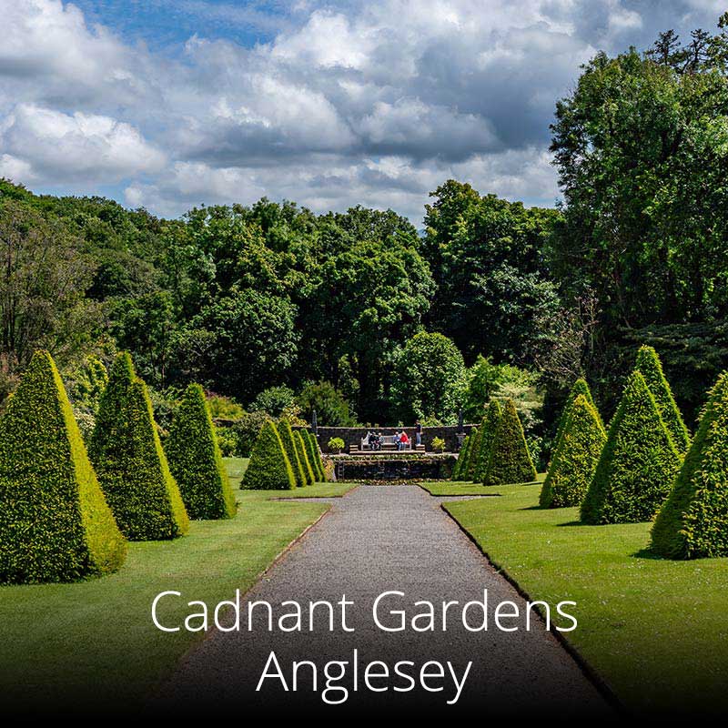 Cadnant Gardens, on the Menai Strait, are one of Anglesey's hidden gems