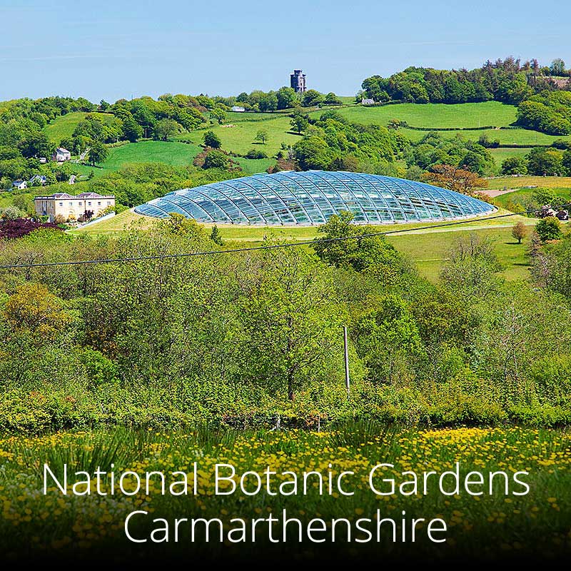 Wales' National Botanic Gardens are well worth a visit for their stunning plants
