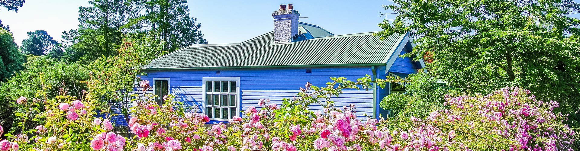 Holiday cottage in Wales surrounded by roses Holiday cottage in Wales surrounded by roses