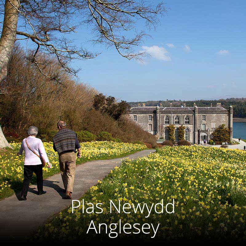 Cared for by the National Trust, Plas Newydd overlooks the Menai Strait on Anglesey