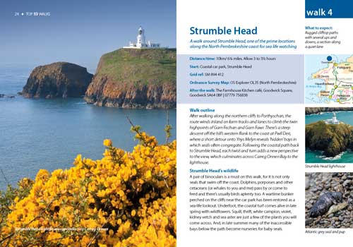 Top 10 Walks: National Parks: Pembrokeshire - Image 4