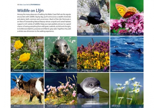 Official Guide: Wales Coast Path: Llyn Peninsula