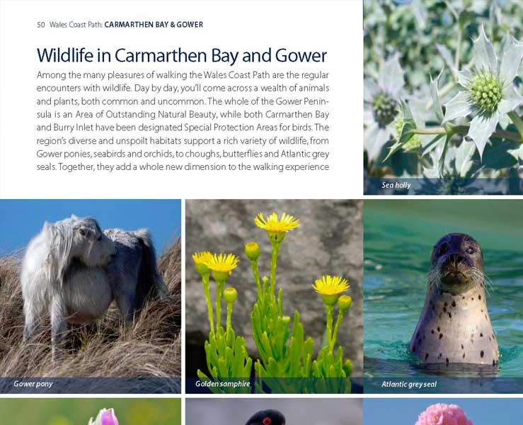 Wales Coast Path: Official Guide Carmarthen Bay and Gower