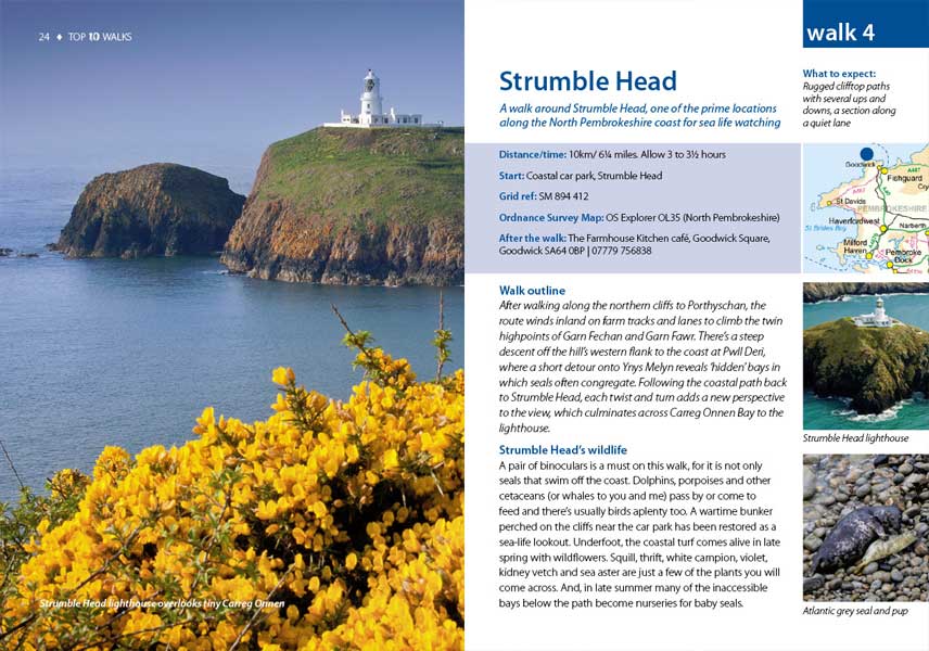 Top 10 Walks: Wales Coast Path: Pembrokeshire North